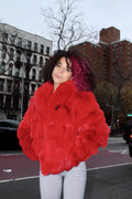 Fox Bolero with Full Collar