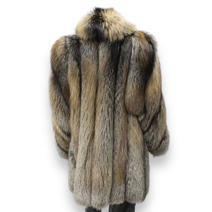 3/4 Cross Fox with Collar