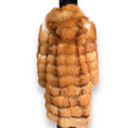 3/4 Fox with Hood