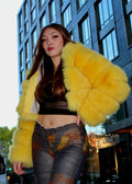 Faux Layered Bolero with Hood