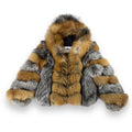 Tricolor Fox with Hood