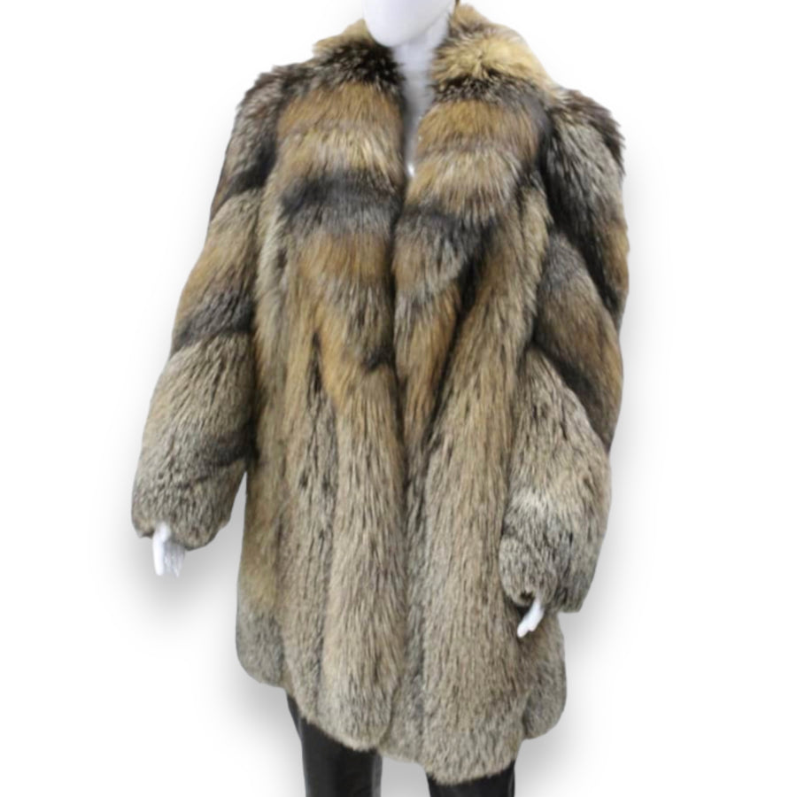 3/4 Cross Fox with Collar