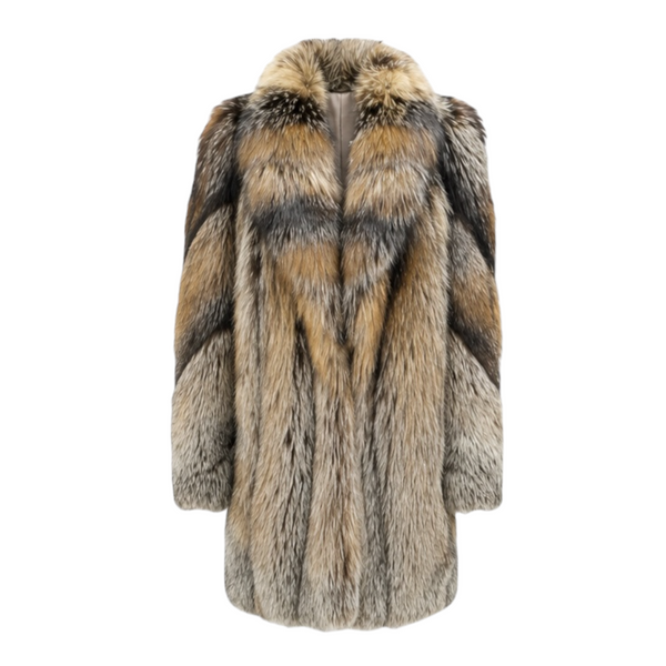 3/4 Cross Fox with Collar